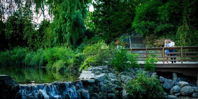 Environmental Engagement Photo in Toronto Botanical Garden