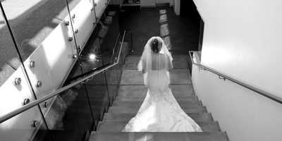 Toronto Botanical Garden Wedding Bride Descending Stairs