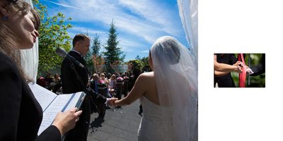 Toronto Botanical Garden Wedding Ceremony