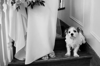 Bride and Her Dog