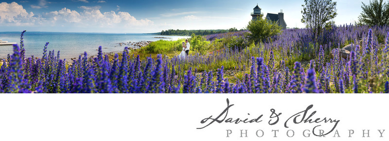 Cobble Beach Wedding Photography