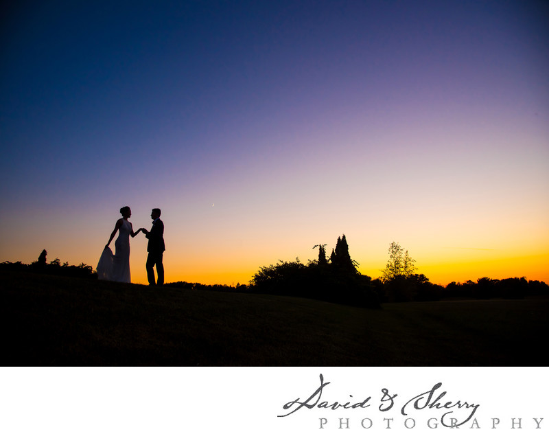 Kicking Horse Mountain Resort Wedding Photography