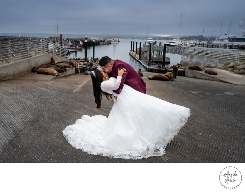 Monterey Wedding Photographer