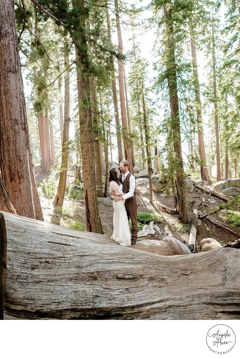 Sequoia National Forest Elopement