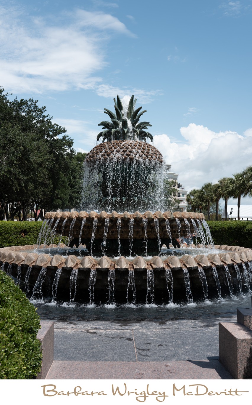 Pineapple Fountain Charleston