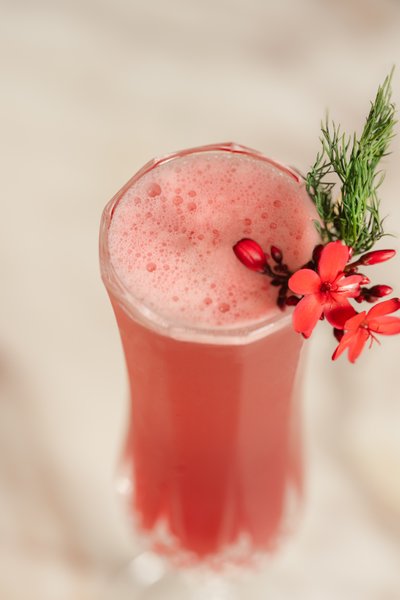 Champagne Holiday Cocktail