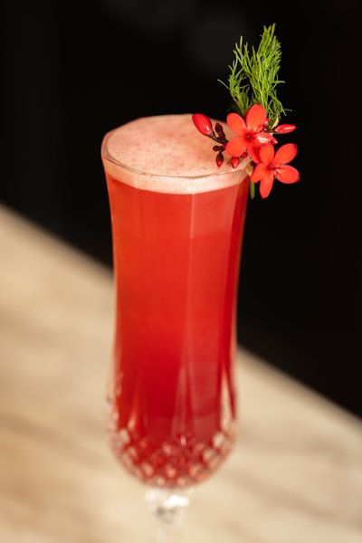 Christmas Cocktail with Poinsettia Garnish