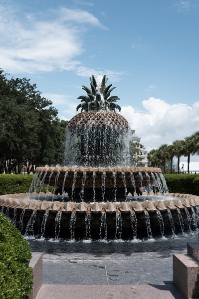 Pineapple Fountain Charleston