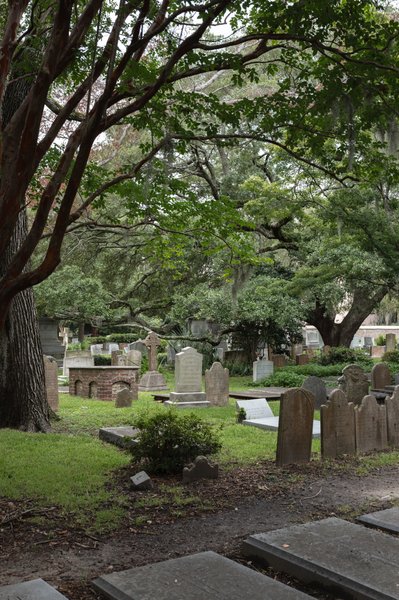 Charleston SC Cemetery