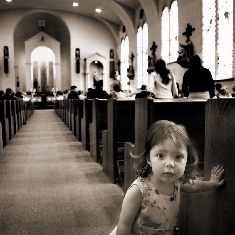 Portland Wedding Photographer The Best Portland Wedding Photographers