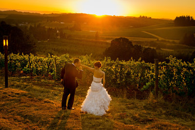 Willamette Valley Vineyards Wedding Photography