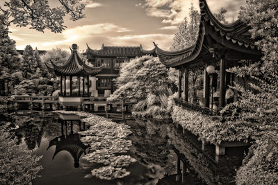 Lan Su Chinese Gardens