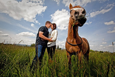 Horse Engagement Picture