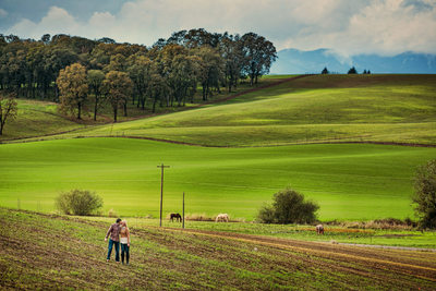 Horses Barn and Farm land Engagement picture