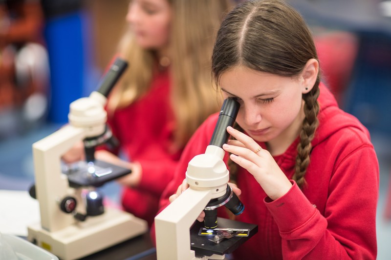 Private School Classroom Photography – Academic Learning through Critical Thinking | Los Angeles, CA