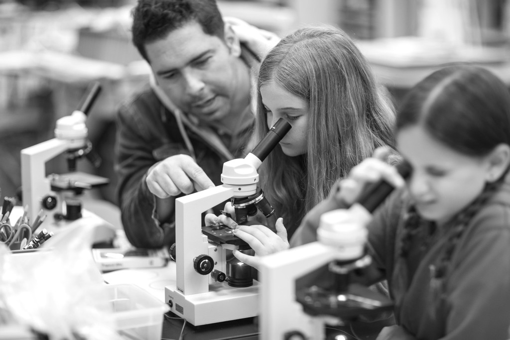 Private School Classroom Photography – Academic Learning in Academic Context | Los Angeles, CO