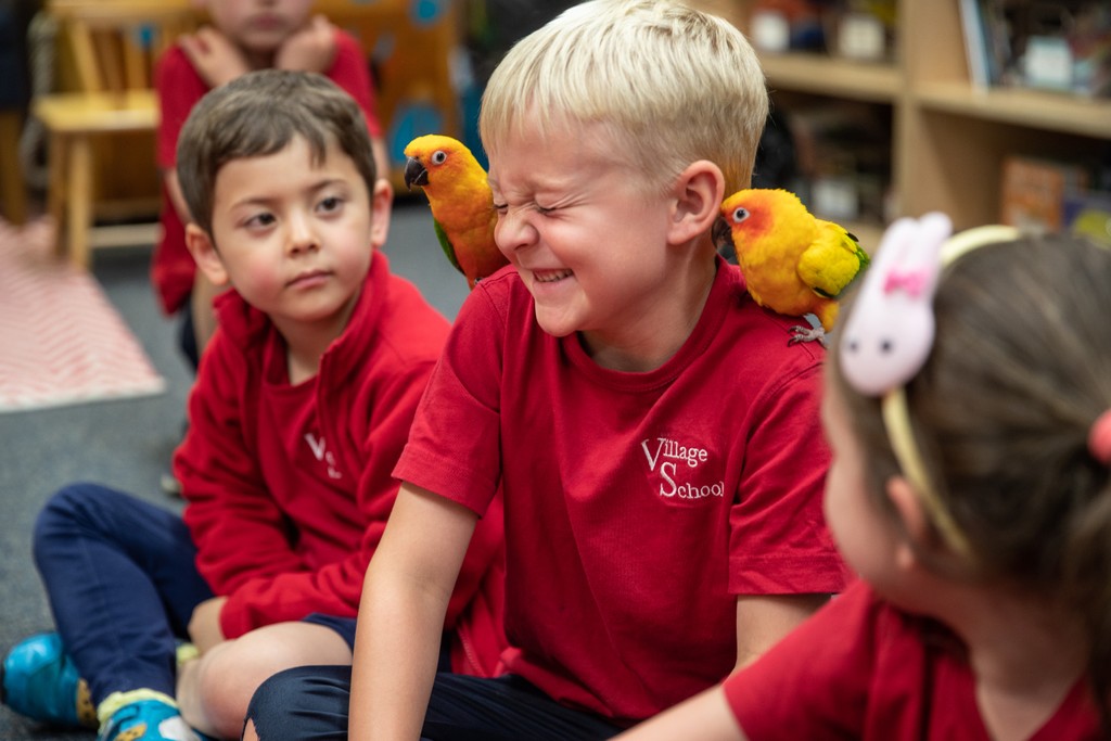 Private School Classroom Photography – Academic Learning during Academic Exploration | Los Angeles, CA