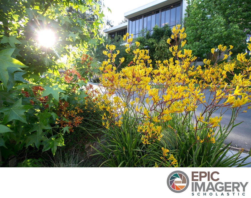 Private School Campus Aesthetic Photography – Learning Environment featuring Campus Design | Los Angeles, CA
