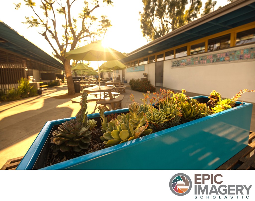 Private School Campus Aesthetic Photography – Learning Environment in outdoor common areas | Los Angeles, CA