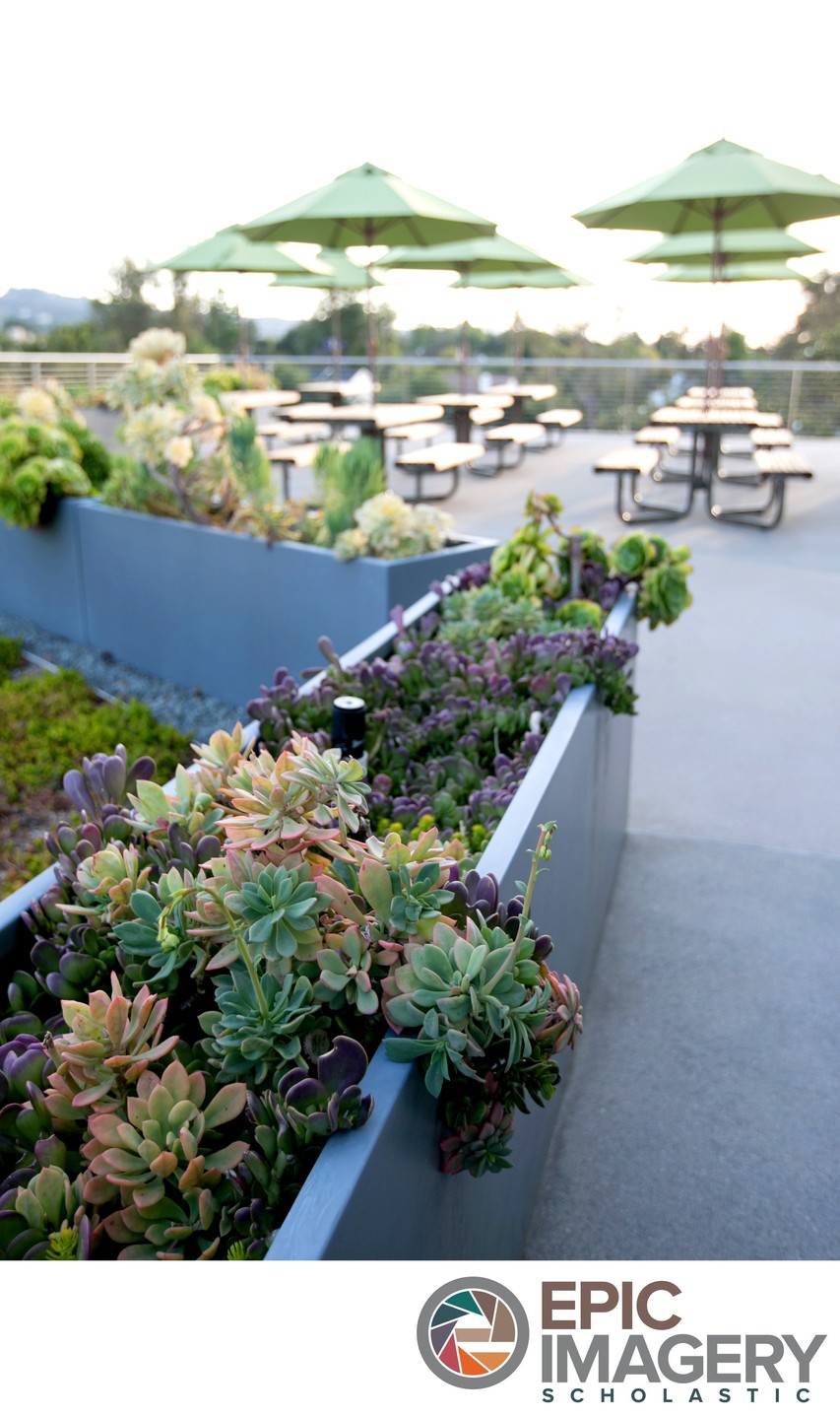 Private School Campus Aesthetic Photography – Learning Environment among Campus Landscaping | Los Angeles, CA