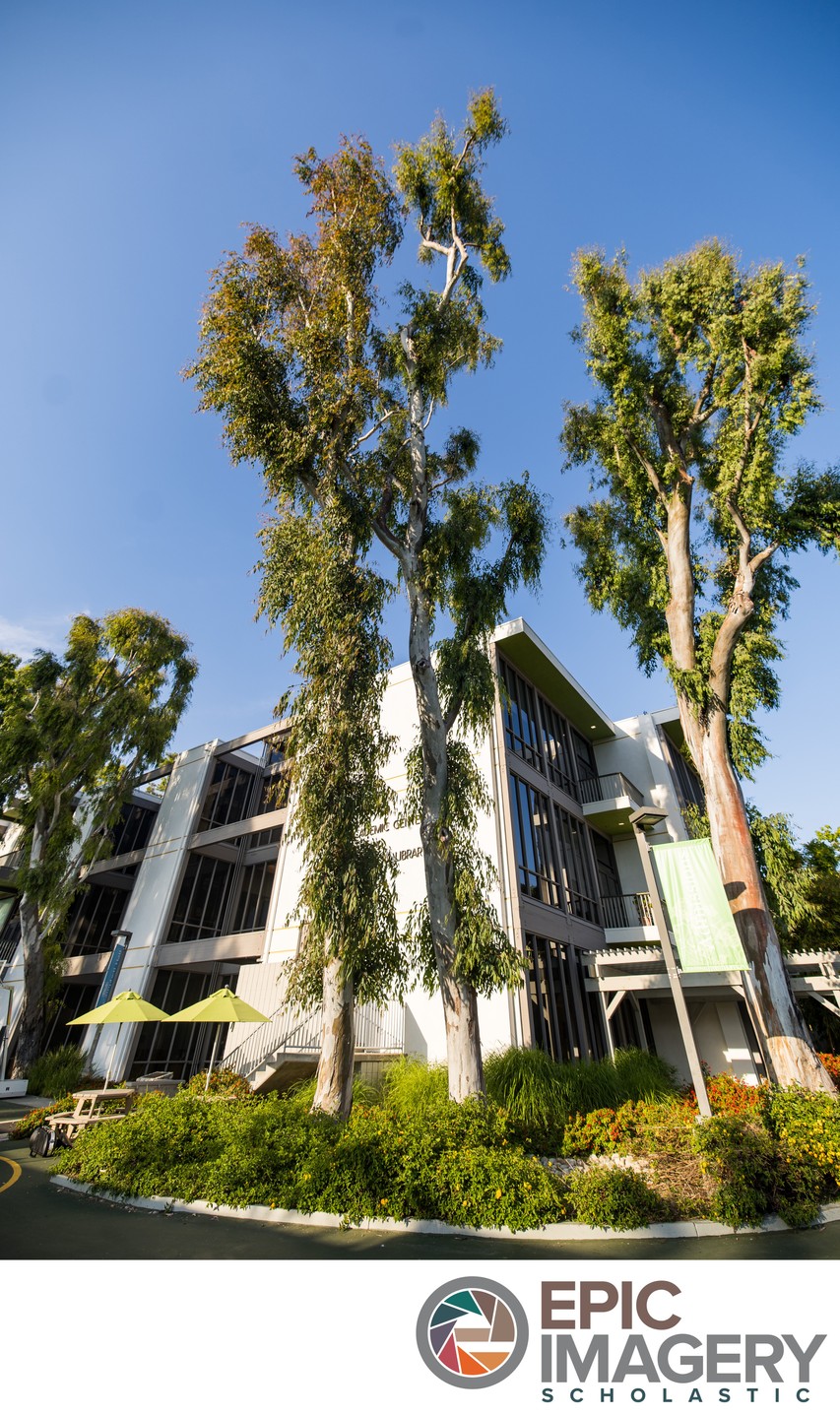 Private School Campus Aesthetic Photography – Learning Environment through campus design | Los Angeles, CA