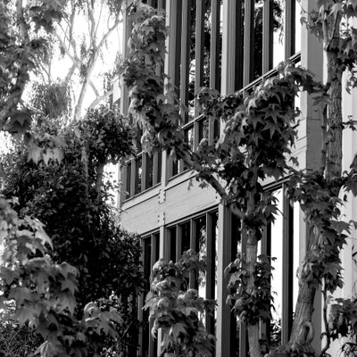 Private School Campus Aesthetic Photography – Learning Environment through architectural detail | Los Angeles, CA