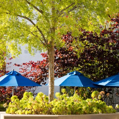 Private School Campus Aesthetic Photography – Learning Environment around green spaces | Los Angeles, CA