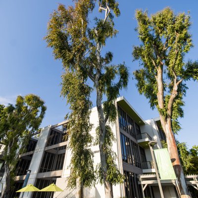 Private School Campus Aesthetic Photography – Learning Environment through campus design | Los Angeles, CA