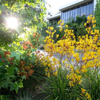 Private School Campus Aesthetic Photography – Learning Environment featuring Campus Design | Los Angeles, CA
