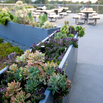 Private School Campus Aesthetic Photography – Learning Environment among Campus Landscaping | Los Angeles, CA