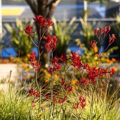 Private School Campus Aesthetic Photography – Learning Environment near Green Spaces | Los Angeles, CA
