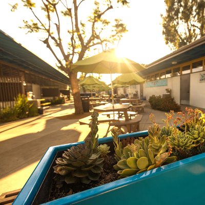 Private School Campus Aesthetic Photography – Learning Environment in outdoor common areas | Los Angeles, CA