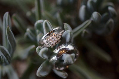 Succulents Wedding Rings