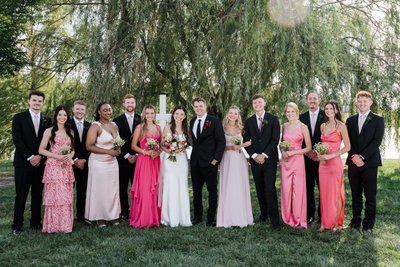 Pink, Love & Willows