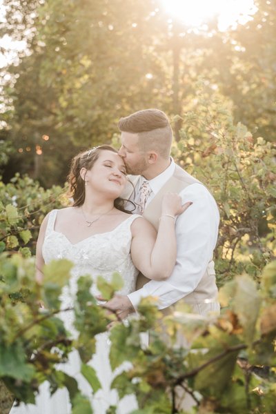 Golden Hour in the Vines