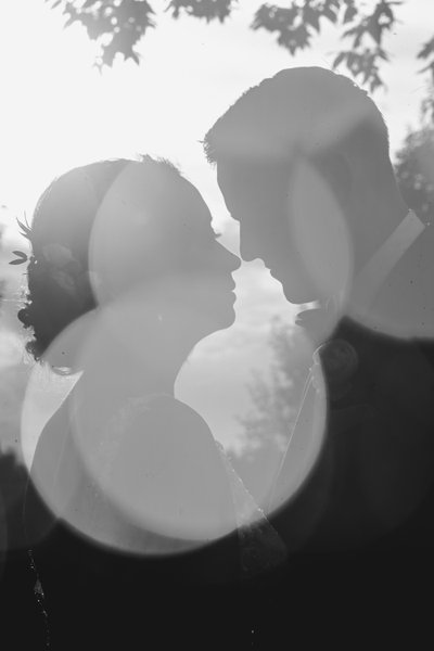 Timeless Silhouettes