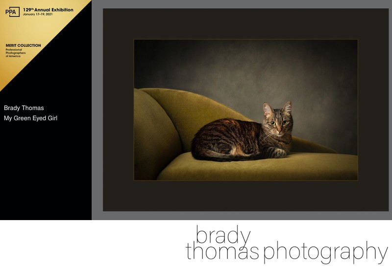 Award-Winning Pet Photographer