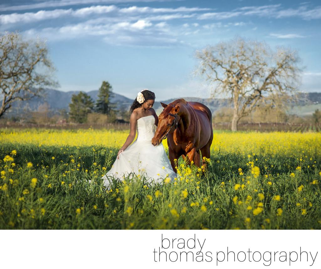 Best Horse and Bride Photographer Napa