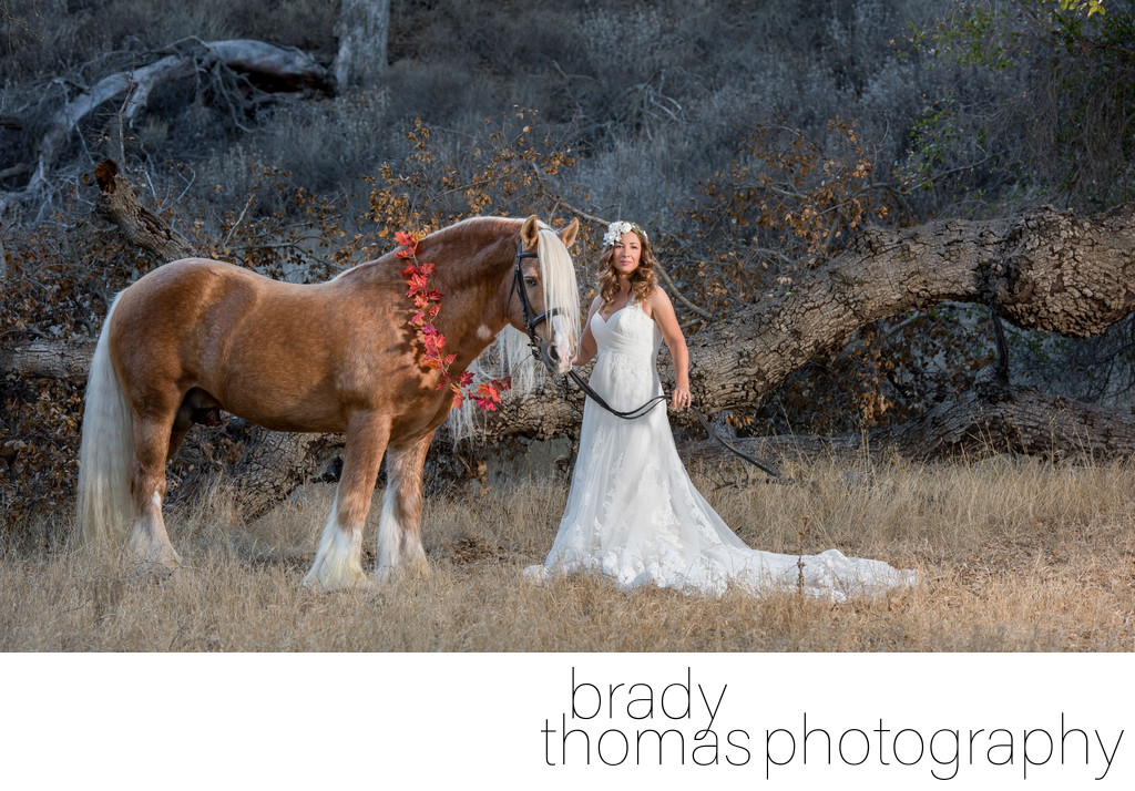 Best Bride and Horse Photographer Northern California