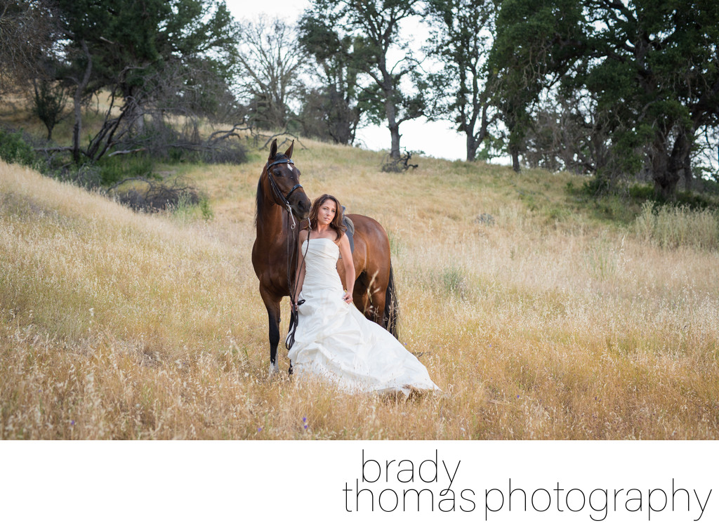 Horse and Bride Photographer Clayton