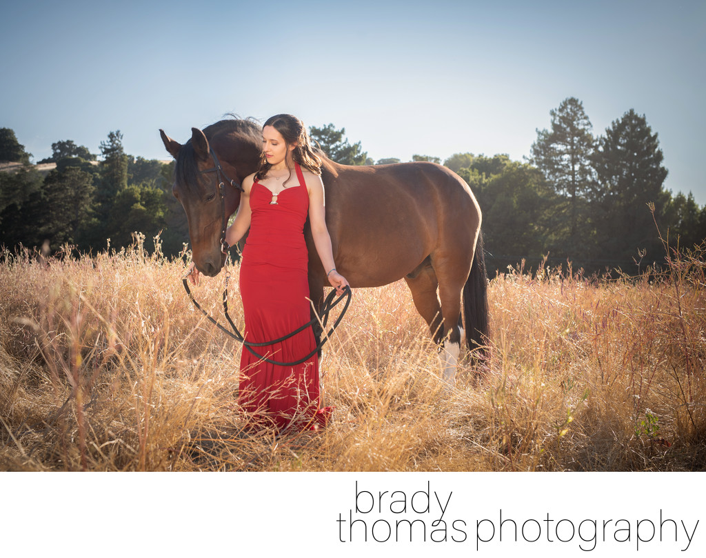 Professional Portraits with Horses