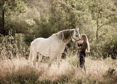 Horse and Girl Photo Napa