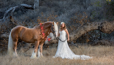Best Bride and Horse Photographer Northern California