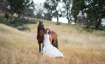 Horse and Bride Photographer Clayton