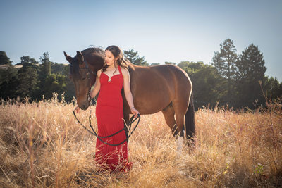 Professional Portraits with Horses