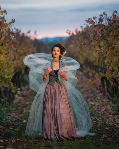 Santa Rosa Portrait Photographer