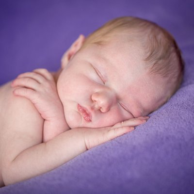 Purple Background Baby Photographer Westchester 