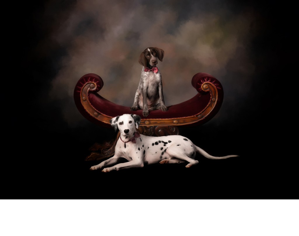 Mazy & Spot