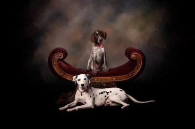 Mazy & Spot