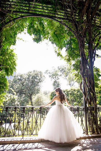 Conservatory Gardens Wedding Photographer